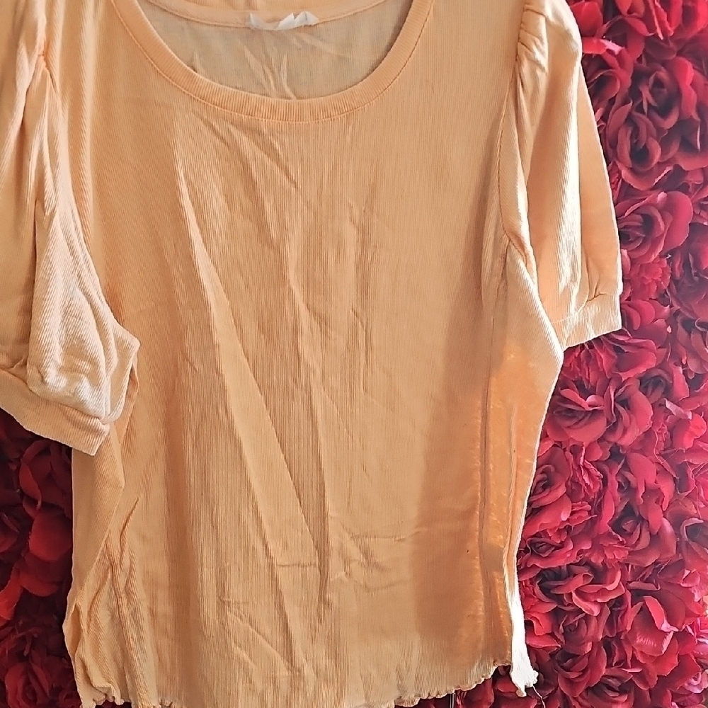 Jane & Delancey Women's Short Sleeve Puff Shoulder,detailed Bottom Shirt Size XL